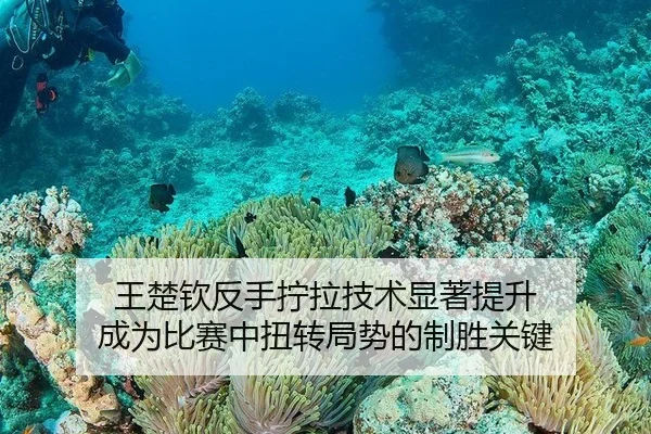 王楚钦反手拧拉技术显著提升 成为比赛中扭转局势的制胜关键